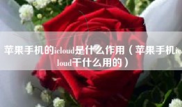 苹果手机的icloud是什么作用（苹果手机icloud干什么用的）