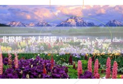北极熊：冰上侦探 Polar Bears： Spy on the Ice