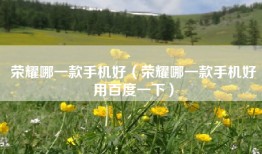 荣耀哪一款手机好（荣耀哪一款手机好用百度一下）