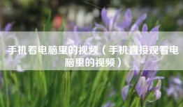 手机看电脑里的视频（手机直接观看电脑里的视频）