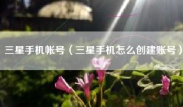 三星手机帐号（三星手机怎么创建账号）