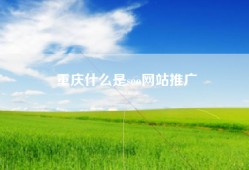 重庆什么是seo网站推广