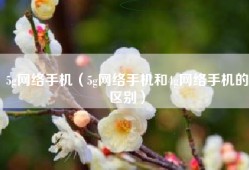 5g网络手机（5g网络手机和4g网络手机的区别）