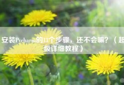 安装Pycharm的13个步骤，还不会嘛？（超级详细教程）