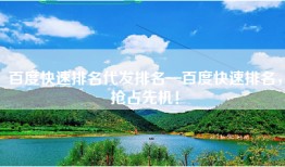 百度快速排名代发排名—百度快速排名，抢占先机！