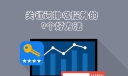 稳定排名的有效方法（提高网站内容质量）