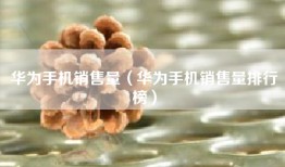 华为手机销售量（华为手机销售量排行榜）
