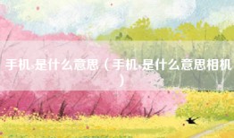 手机s是什么意思（手机s是什么意思相机）