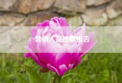 营销人员述职报告