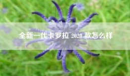 全新一代卡罗拉 2020 款怎么样