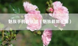 魅族手机截长图（魅族截屏长图）
