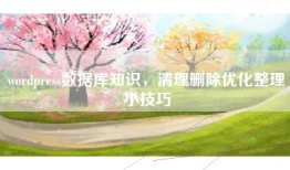 wordpress数据库知识，清理删除优化整理小技巧