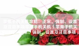 苹果手机关机攻略：正常、强制、设置及注意事项苹果手机关机「苹果手机关机攻略：正常、强制、设置及注意事项」