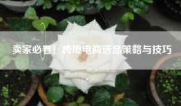 卖家必看！跨境电商选品策略与技巧