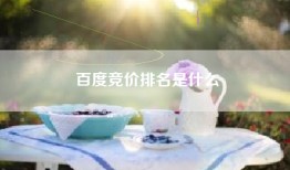 百度竞价排名是什么