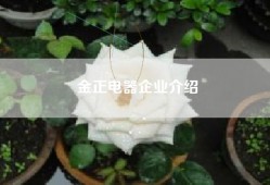 金正电器企业介绍