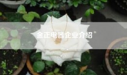 金正电器企业介绍