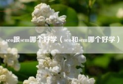 seo跟sem哪个好学（seo和sem哪个好学）