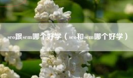 seo跟sem哪个好学（seo和sem哪个好学）