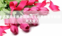 诺基亚手机老款图片（诺基亚老手机图片大全）