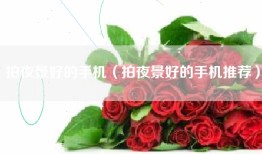 拍夜景好的手机（拍夜景好的手机推荐）