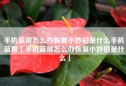 手机蓝屏怎么办恢复小妙招是什么手机蓝屏「手机蓝屏怎么办恢复小妙招是什么」