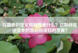 投融资的定义和流程是什么？它如何促进资本的流动和项目的发展？