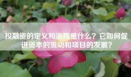 投融资的定义和流程是什么？它如何促进资本的流动和项目的发展？