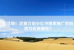 超详细！这里介绍小红书搜索推广的投放方式有哪些？
