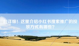 超详细！这里介绍小红书搜索推广的投放方式有哪些？