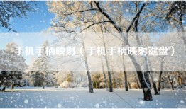 手机手柄映射（手机手柄映射键盘）