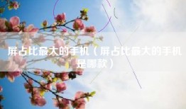 屏占比最大的手机（屏占比最大的手机是哪款）