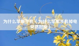 为什么苹果手机（为什么苹果手机掉电突然好快）