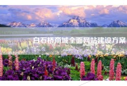 🌟白石桥商城全面网站建设方案🌟