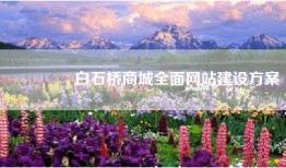 🌟白石桥商城全面网站建设方案🌟