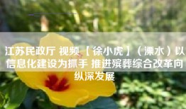 江苏民政厅 视频 【徐小虎】（溧水）以信息化建设为抓手 推进殡葬综合改革向纵深发展