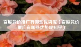 百度竞价推广有哪些优势呢（百度竞价推广有哪些优势呢知乎）