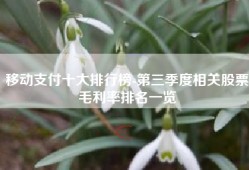 移动支付十大排行榜-第三季度相关股票毛利率排名一览