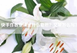 快手作者变现是什么意思？文案怎么写？