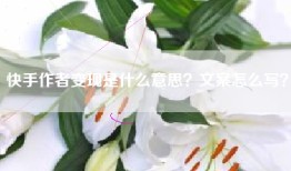 快手作者变现是什么意思？文案怎么写？