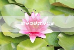 雅安网站建设公司