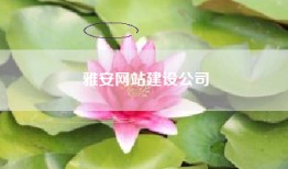雅安网站建设公司