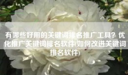 有哪些好用的关键词排名推广工具？优化推广关键词排名软件(如何改进关键词排名软件)