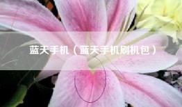 蓝天手机（蓝天手机刷机包）