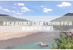 手机语音权限怎么设置（如何给手机设置语音开启功能）