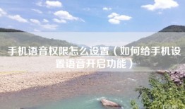 手机语音权限怎么设置（如何给手机设置语音开启功能）