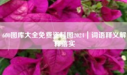 600图库大全免费资料图2024｜词语释义解释落实