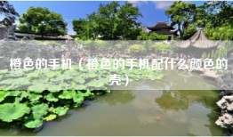 橙色的手机（橙色的手机配什么颜色的壳）