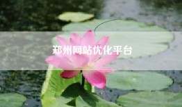 郑州网站优化平台