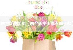 国产防水手机（国产防水手机有哪几款）